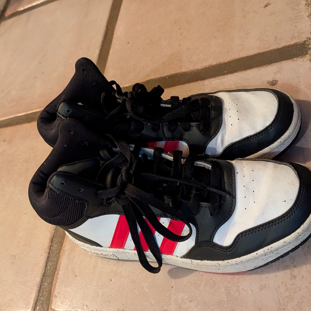 Black and White Sneakers with Red Stripes